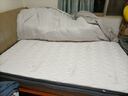 金丝海马床垫海马床垫天然乳胶独立弹簧床垫席梦思环保椰棕软硬两用可拆洗 皇室25柔软:独立簧+5cm乳胶+海绵 1500*1900 实拍图