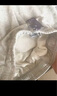 有志者（UZIS） 运动卫裤男秋冬加绒长裤束脚训练美式宽松休闲篮球裤子[切割2.0] 【针织直筒】灰 M 实拍图