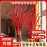 【银柳送挂饰】年宵花⭐真花鲜枝红色客厅室内干花盆栽摆件水培 【20枝】招财银柳-送新春挂件 60cm 实拍图
