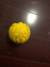 星记狗狗训练用品训犬玩具球边牧飞盘软飞碟耐咬不伤牙 星记妙想泡沫弹力球-黄色 大号 实拍图