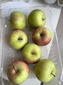 密农人家国光苹果 小国光正宗国光苹果老品种今年新下树 口感酸甜时令水果 3斤 实拍图