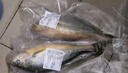 渔吻深海特大黄花鱼新鲜海捕冰鲜大黄鱼2斤一条海鲜鱼类 【2条】特大黄花鱼2斤/条 实拍图