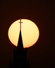 适马（SIGMA）150-600mm F5-6.3 DG DN OS ｜Sports 全画幅无反 超远摄变焦镜头  打鸟拍荷花（索尼卡口） 实拍图