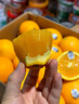 沐小七果蔬 进口新奇士橙子3107黑标脐橙 新鲜sunkist进口橙子甜橙礼盒 5斤装【双人畅享-超划算】 海外直采/新鲜直达 实拍图