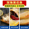 海宏盈 黄花鱼深海大黄鱼海鱼新鲜黄花鱼水饺食材海鲜鱼类 450g-550g/条共3条 实拍图