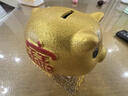侑家良品 金猪存钱罐只进不出 客厅摆件 送孩子六一儿童节礼物 小号 实拍图