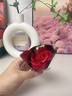 皓梵洁手捧花迷你花束口袋花束玫瑰小花束干花假花永生花礼物鲜花小花 口袋里的浪漫【红玫瑰一束】 实拍图