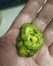拾善方苦瓜脆片无糖精健康成人休闲解馋小零食品脱水蔬菜干果蔬脆苦瓜干 实拍图