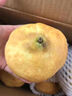 烟台中华丑梨 太婆蜜梨软梨子核小甜糯多汁当季新鲜水果整箱 丑梨带箱1斤（净重0.8斤） 实拍图
