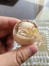 九分馋新鲜活珠子13天熟毛蛋活珠子香辣五香毛鸡蛋自选开袋即食鸡胚蛋 香辣活珠子40枚（含蘸料） 实拍图