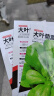 【今年新种】青香大叶茼蒿桐花菜大叶蓬蒿菜耐热皇帝菜火锅蔬菜 大叶茼蒿种子 买二包送一包约3000粒 实拍图