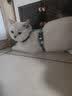 TOUCHDOG它它猫咪牵引绳遛猫绳胸背心式防挣脱工字幼猫链子溜猫绳 彩虹糖 M码【16斤以内】 绳长1.2m 实拍图