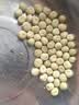 【农家菜园】白长茄子贝贝南瓜番茄重庆香菜天津青麻叶养生荠荠菜 无须豌豆种子正品约50粒1包 实拍图