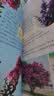 植物百科 彩图版 少儿科普百科 中小学生课外阅读书籍 实拍图