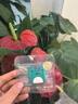 植气叮叮植物精油防护扣卡通防咬长效驱蚊儿童户外玩耍旅行随身带1个装 实拍图