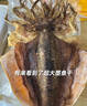 九味天北海正宗淡晒大墨鱼干乌贼海鲜特水产干货级大号过节送礼煲汤目鱼 M5小号：买250g送250g：共500g 实拍图