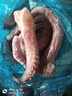 新鲜大章鱼足鱿鱼须脆口大章鱼足新鲜速冻海鲜章鱼须海鲜海货 精品鱿鱼须5斤(超市品质) 实拍图