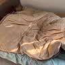无印良品牛奶绒可拆洗加厚冬季被子 被芯被套二合一 总重10斤200*230cm咖 实拍图