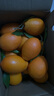 逮果重庆奉节脐橙纽荷尔春橙福本特级大果礼盒装时令新鲜孕妇水果橙子 净重9.3斤果王/80mm+/约12-15个 实拍图