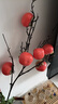 九月生大红石榴果仿真花干花年宵花新年过年春节装饰摆件假花冬青红果 实拍图