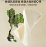 百丽丝水星家纺出品乳胶枕93%天然乳胶枕头泰国进口原液 成人护颈枕芯 实拍图