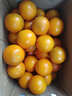 天乐优选麻阳冰糖橙新鲜橙子水果当季整箱果冻甜橙手剥橙子爆汁应季时令 带箱5斤单果60-65mm净重4.5斤 实拍图