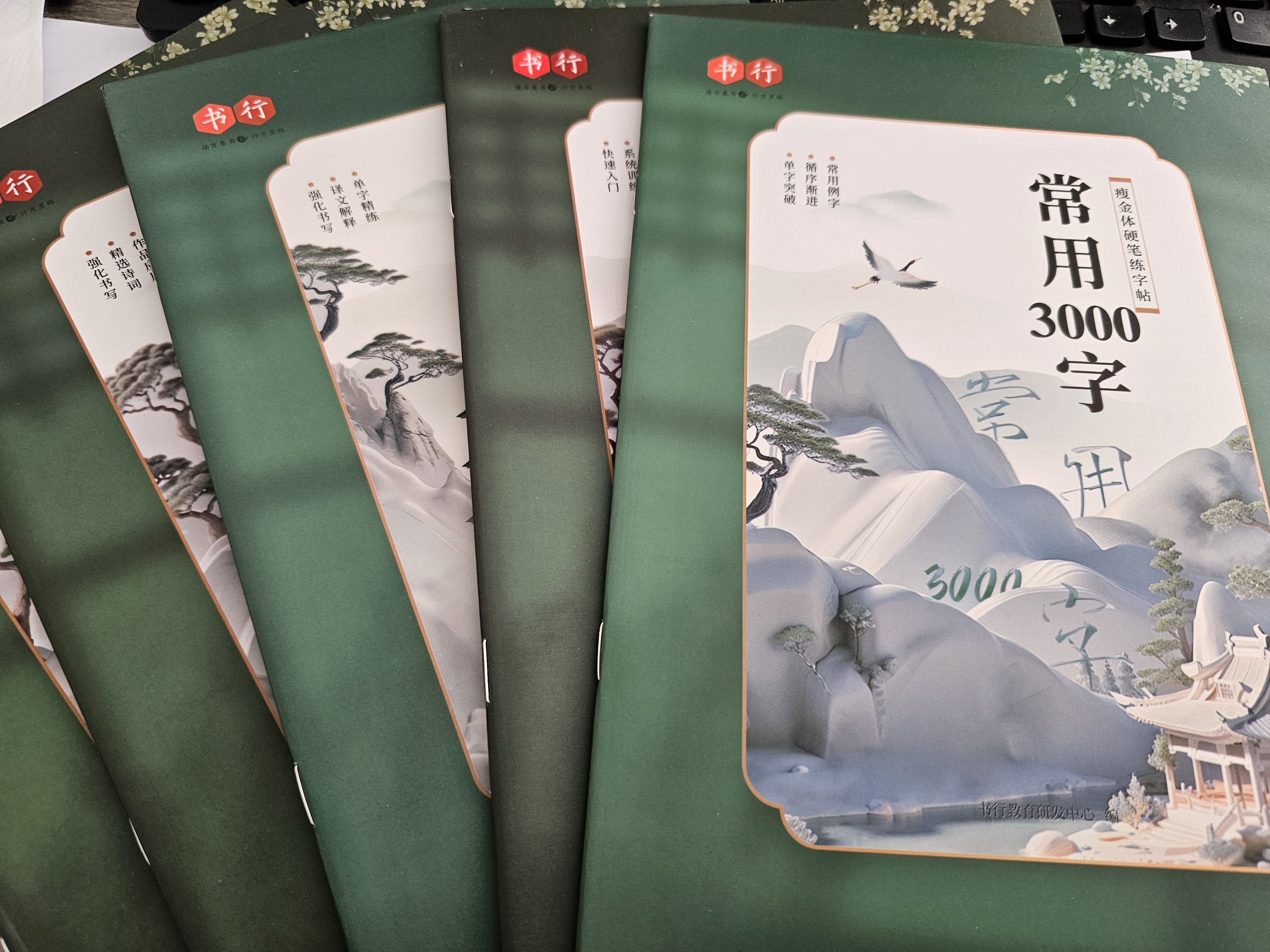 书行 瘦金体硬笔钢笔字帖宋徽宗字体大学生男生临摹入门练字帖成年人手写行书速成描红本 实拍图