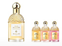 娇兰（Guerlain） 花草水语淡香水 女士香水 礼物 柑橘罗勒75ml套装 实拍图