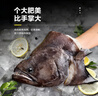 七冰东鲽鱼头 深海碟鱼头鸦片鱼头新鲜分割超大号鱼尾烧烤海鲜水产年货 鲽鱼头 2-2.5斤（1只） 实拍图