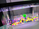 鹦鹦怪鱼缸客厅塑料中小型金鱼缸亚克力生态缸斗鱼缸家用新款智能溪流缸 35黑色专业套餐（彩灯+过滤增氧二合一） 实拍图