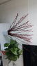 花行榜鲜枝年宵干花植物 60cm大红银柳30枝+白波浪瓶+10个挂件源头直发 实拍图