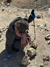 迪卡侬SH100女士雪地靴加厚保暖防水防滑登山徒步棉靴-4006887 实拍图