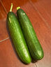 京喜加新鲜无刺水果小黄瓜小青瓜脆甜荷兰脆嫩生吃黄瓜蔬菜 2根 200g 尝鲜装 实拍图