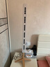 得康氧 teqair450小粒径负氧离子发生器家用负离子空气净化器除甲醛无臭氧无噪音无耗材 teqair450白色 实拍图