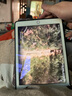 闪魔适用iPad pro钢化膜2025/24/21/22款air7/6/5/4保护膜11/12.9/13英寸高清抗蓝光平板膜 【护眼版滕森抗蓝光】 ipad2017/2018/air2 实拍图