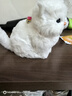 亦趣仿真猫玩偶会叫小猫咪毛绒玩具摆件可爱猫咪公仔儿童生日新年礼物 纯白会叫猫咪+领结 实拍图