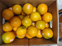 褚橙 云南冰糖橙  优级果 L 10斤装装 单果约130g起 生鲜水果礼盒 实拍图