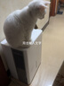 美的（Midea） 除湿机家用抽湿机 室内卧室地下室烘干机干衣除湿吸湿器工业除湿机国家补贴 30L/天 70-100㎡ 大面积空间 实拍图