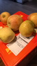 阿克苏苹果新疆阿克苏冰糖心苹果 时令苹果水果 丑苹果红富士 10斤钻石大果75-90mm净重8.5-9斤 实拍图