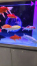 森森（SUNSUN）大型鱼缸底过滤水族箱客厅家用落地玻璃生态金鱼缸 【实时温显】1米长42cm宽（黑白灰可选） 实拍图