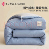 洁丽雅（Grace）纤维被子被芯加厚双人四季被芯被褥冬被6斤 200*230cm 蓝灰 实拍图