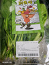  山野菜拼盘300g(富贵菜+冰草+面条菜) 实拍图