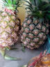京鲜生海南金钻凤梨净重8斤单果1250g起 树上熟新鲜水果源头直发包邮 实拍图