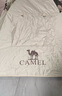 骆驼（CAMEL）钛金黑胶天幕帐篷户外露营装备野餐防晒防雨遮阳棚布133CA6B014 实拍图