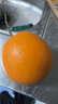 田澄鲜 正宗赣南脐橙早当季新鲜橙子江西橙新鲜采摘当季水果产地直发礼 【30%人选】净重9斤单个150g+ 实拍图