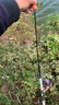 光威（GW） 鱼竿刚胜海竿套装远投竿父亲节礼物海杆抛竿纺车轮甩竿大物竿 3m 单竿+线 实拍图