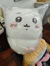 名创优品（MINISO）chiikawa大号挎包站姿公仔毛绒玩具玩偶抱枕礼物女 Chiikawa吉伊 实拍图