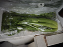 绿食者 新鲜水果西芹250g左右 荷兰清芹 榨汁生吃新鲜蔬菜清甜爽口 实拍图