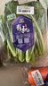 小汤山 北京 有机小白菜 250g 基地直供新鲜蔬菜 实拍图