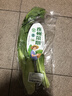 【好事连连】连州菜心400g 实拍图